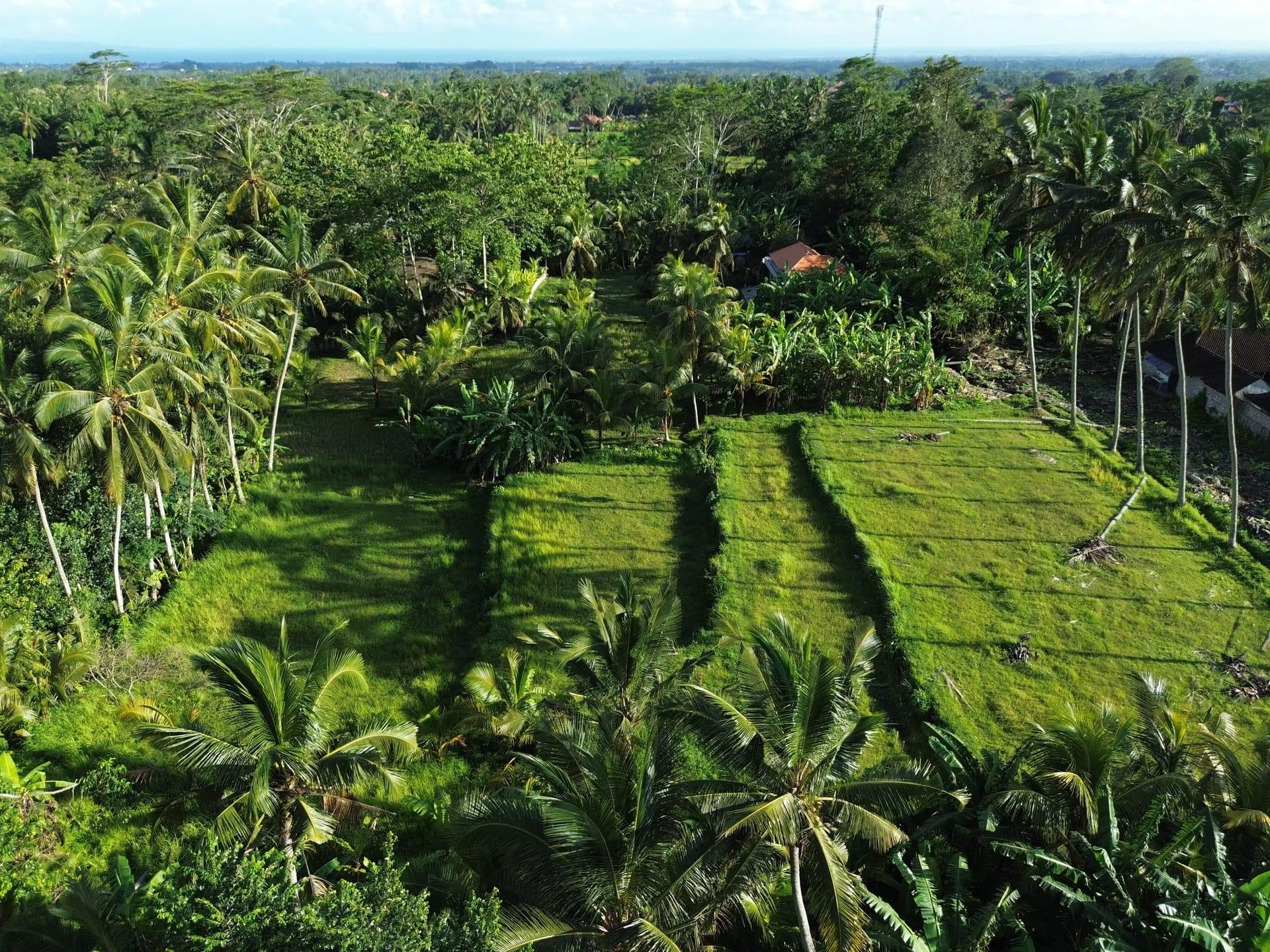 Prix immobilier à Bali 2026 : le m² zone par zone