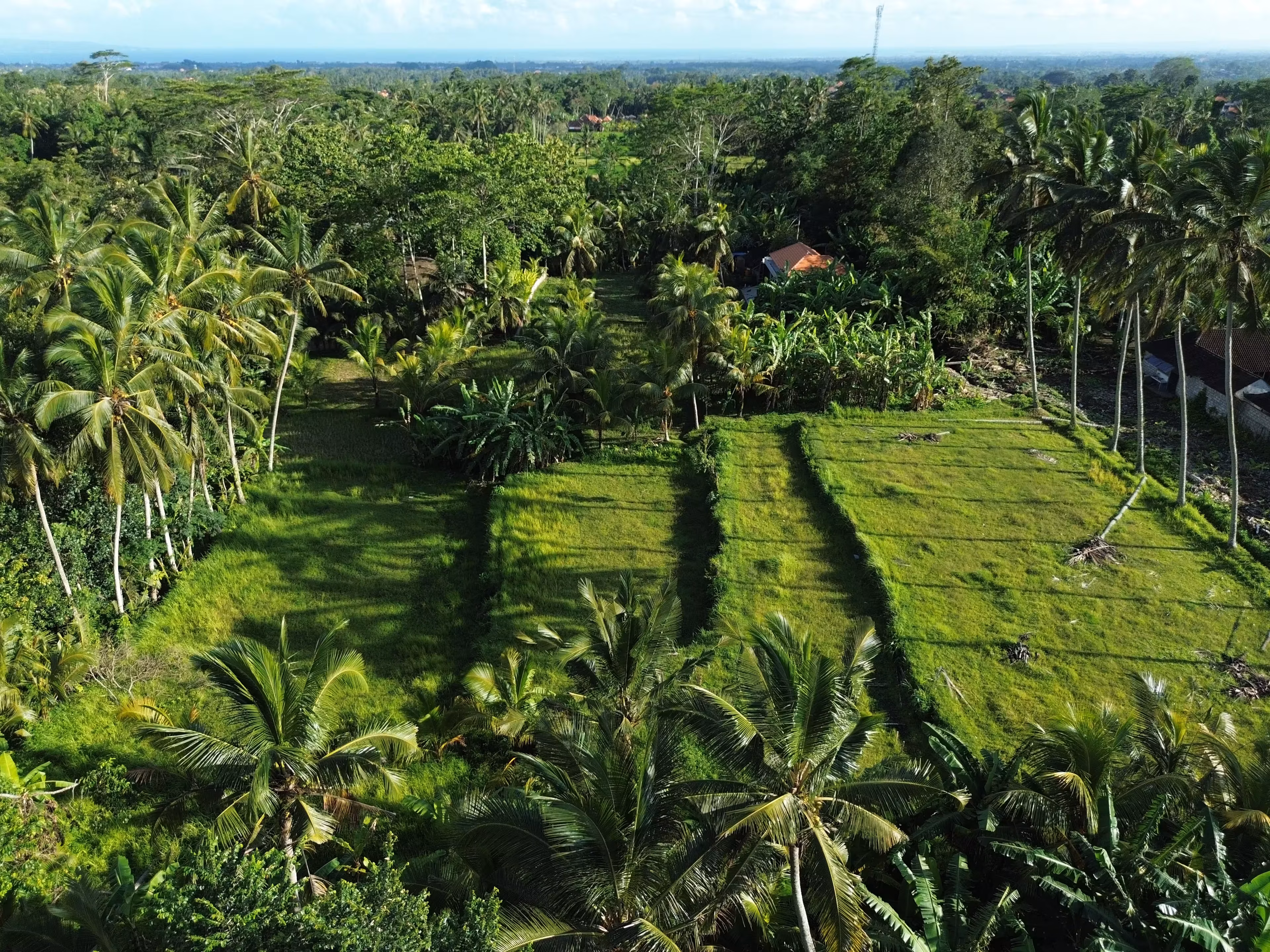 Terrain constructible à Bali avec vue sur les rizières de Canggu