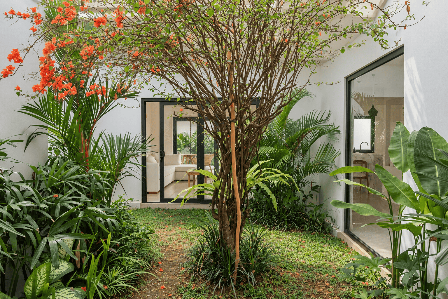 Samare - image 11
